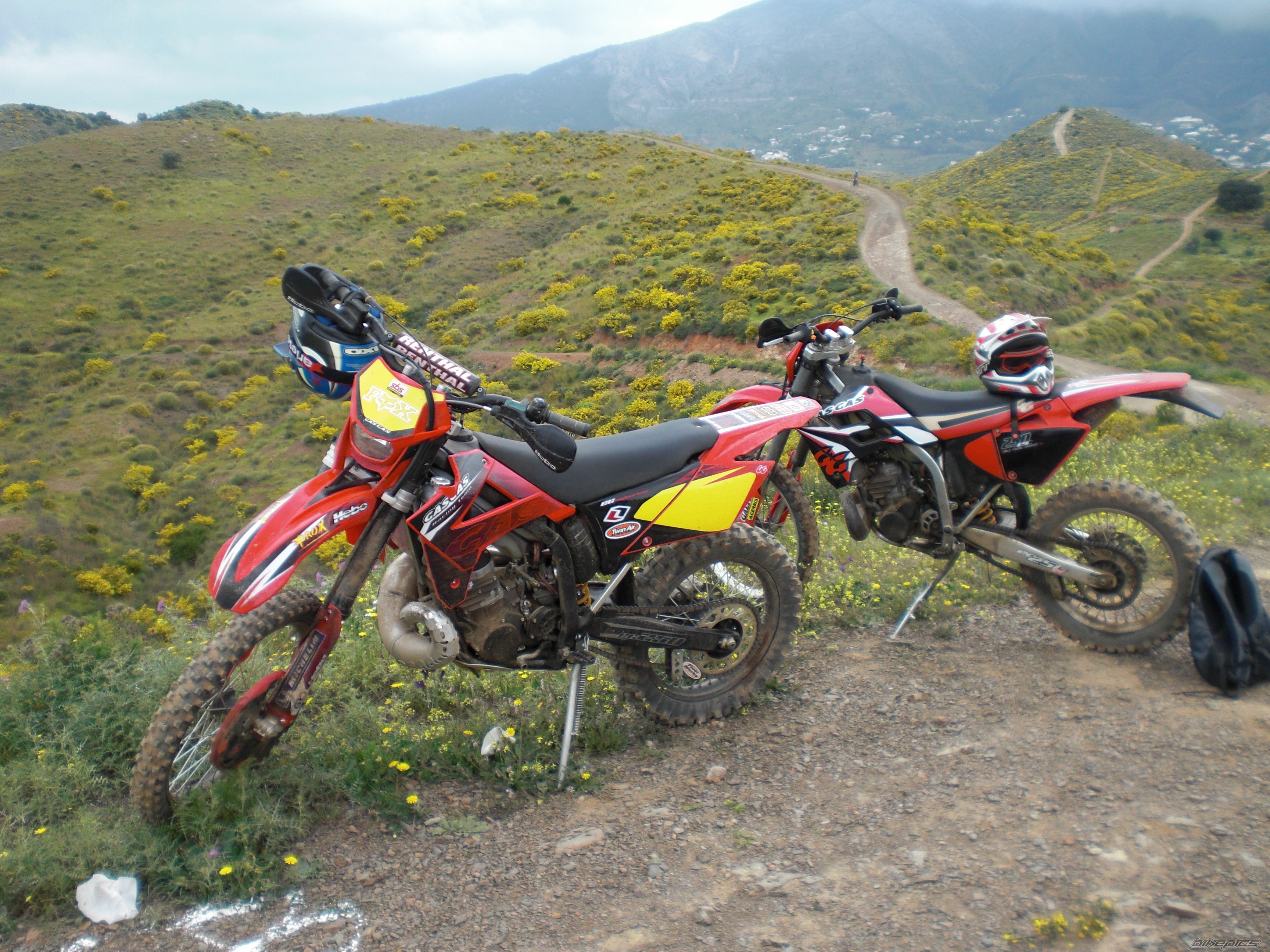 Bike Photo 1608579