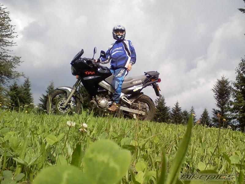 Photo 1608633