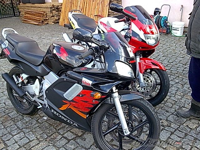 Photo 1609259