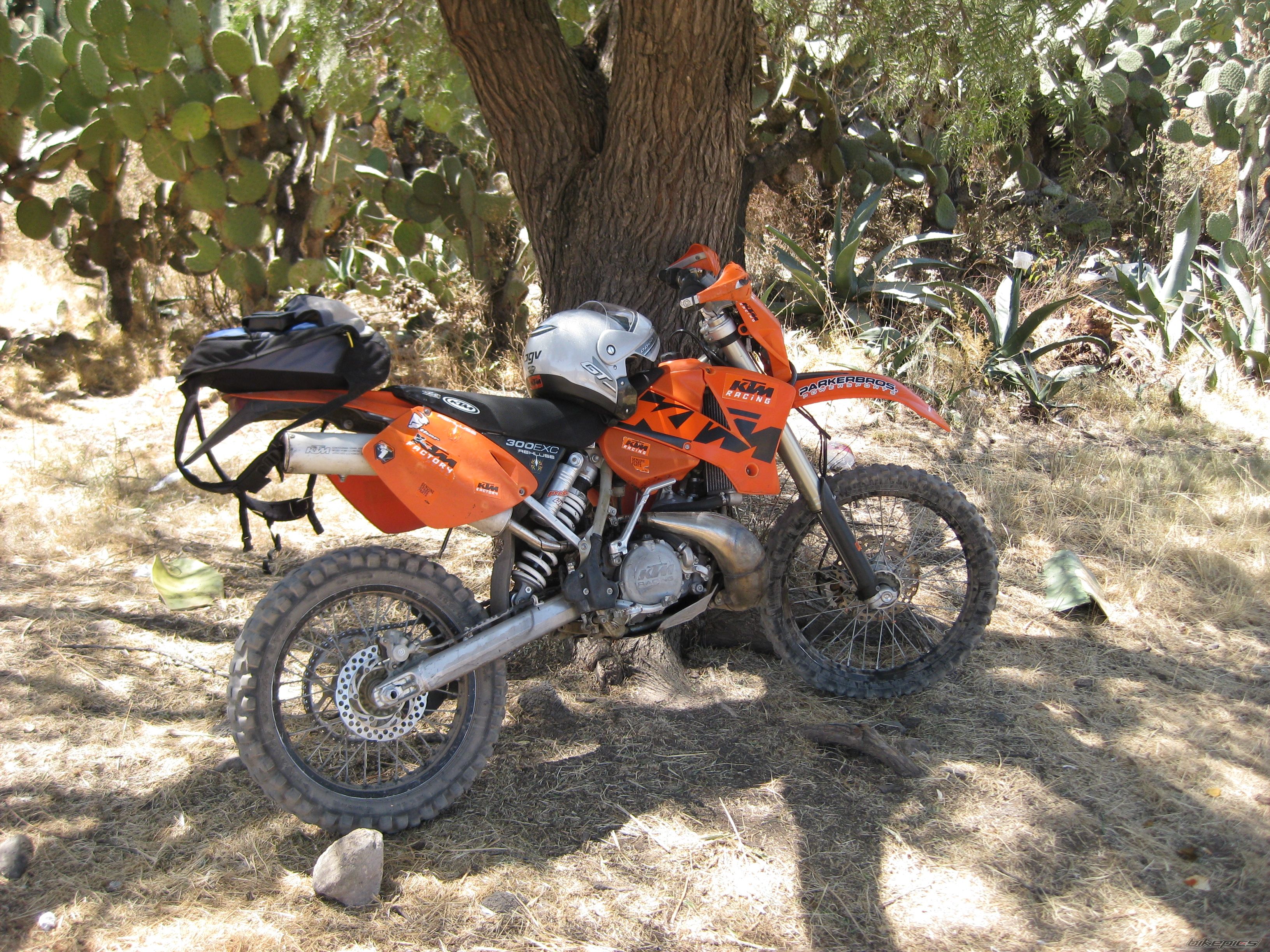Bike Photo 1609315