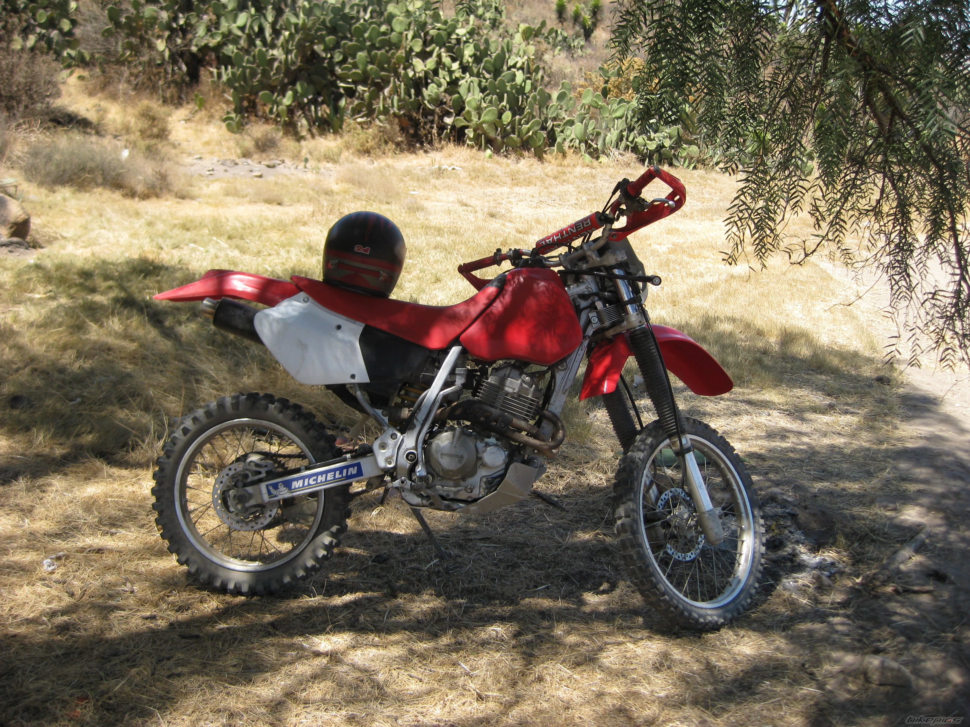 Bike Photo 1609331