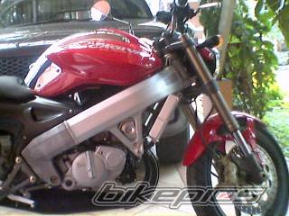Photo 161040