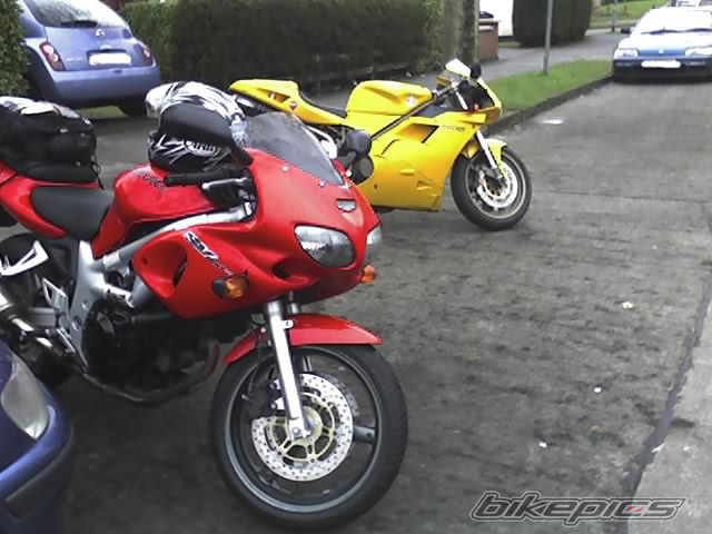 Photo 1610469