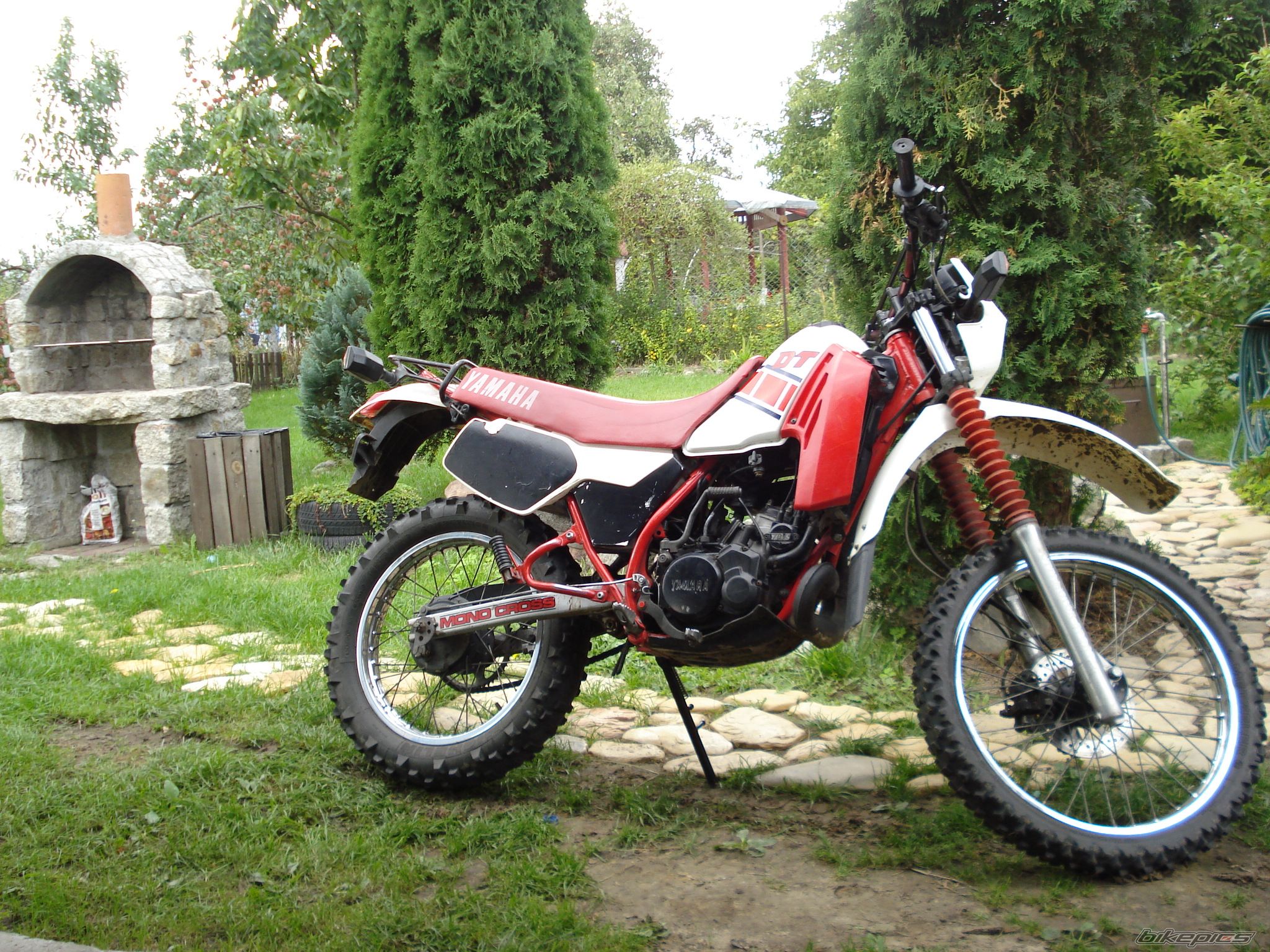 Bike Photo 1611292