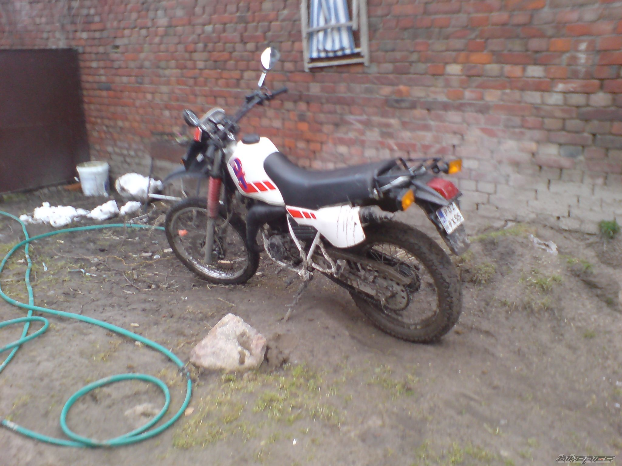 Photo 1611421