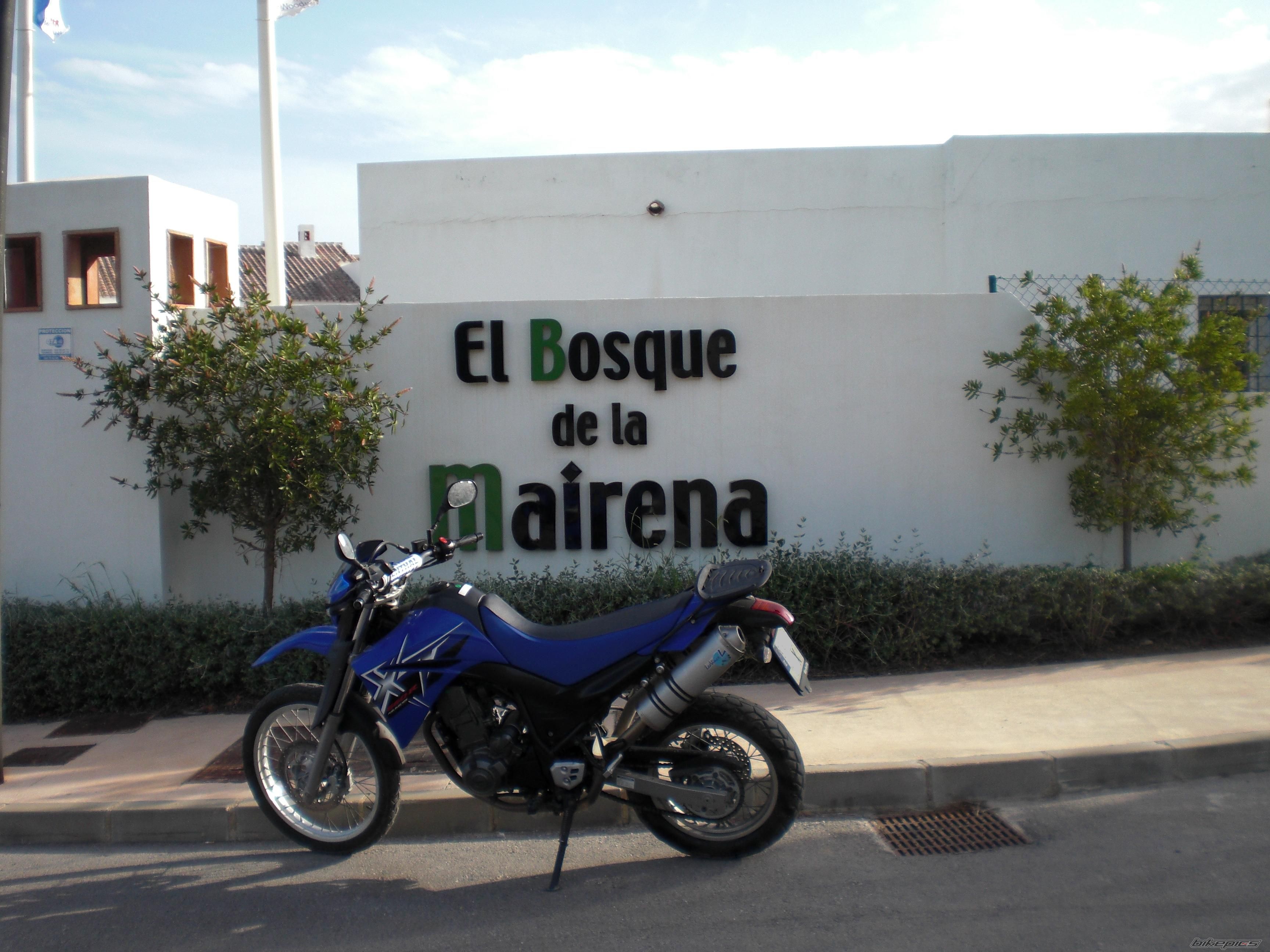 Photo 1611425