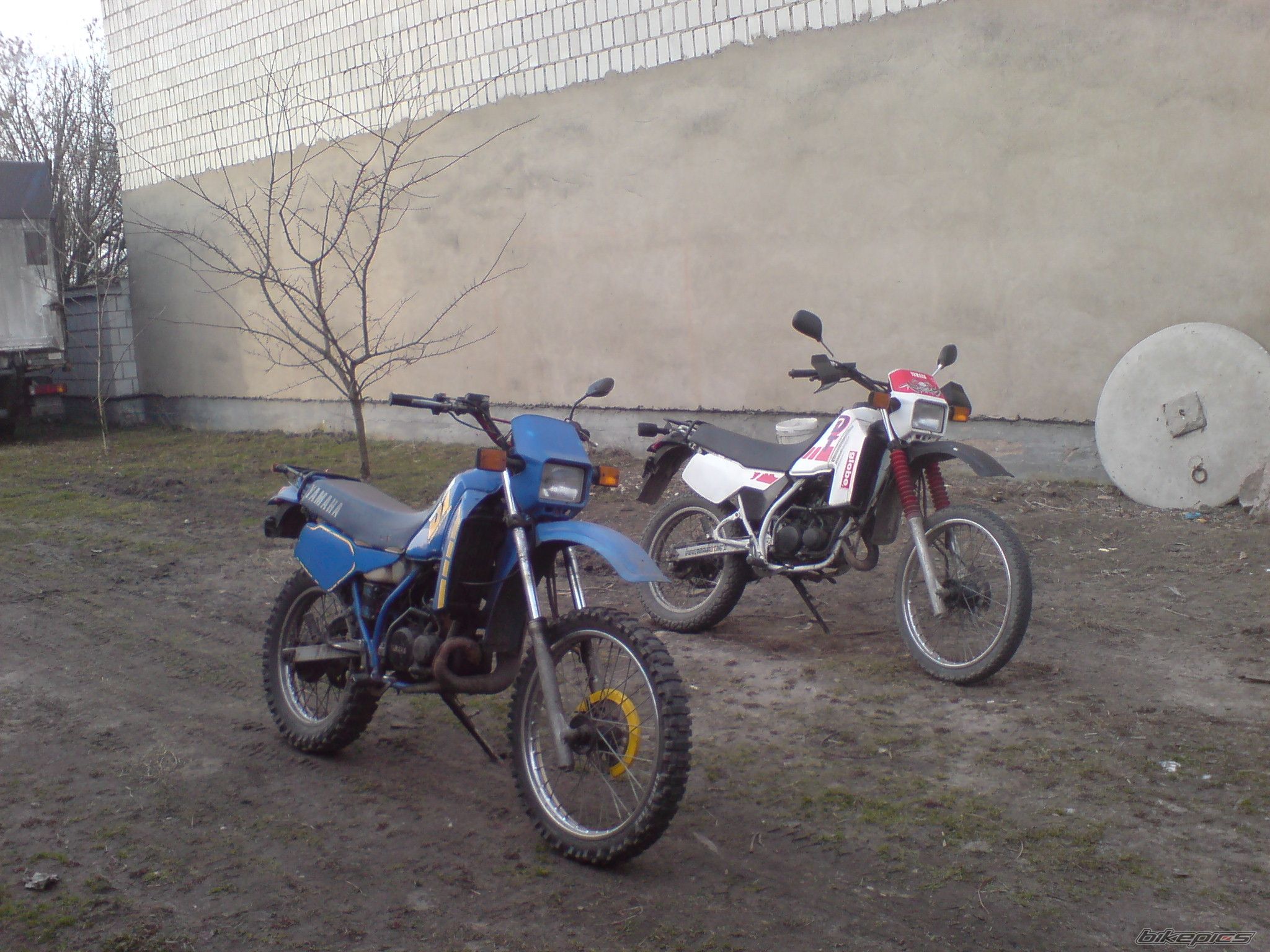 Photo 1611430