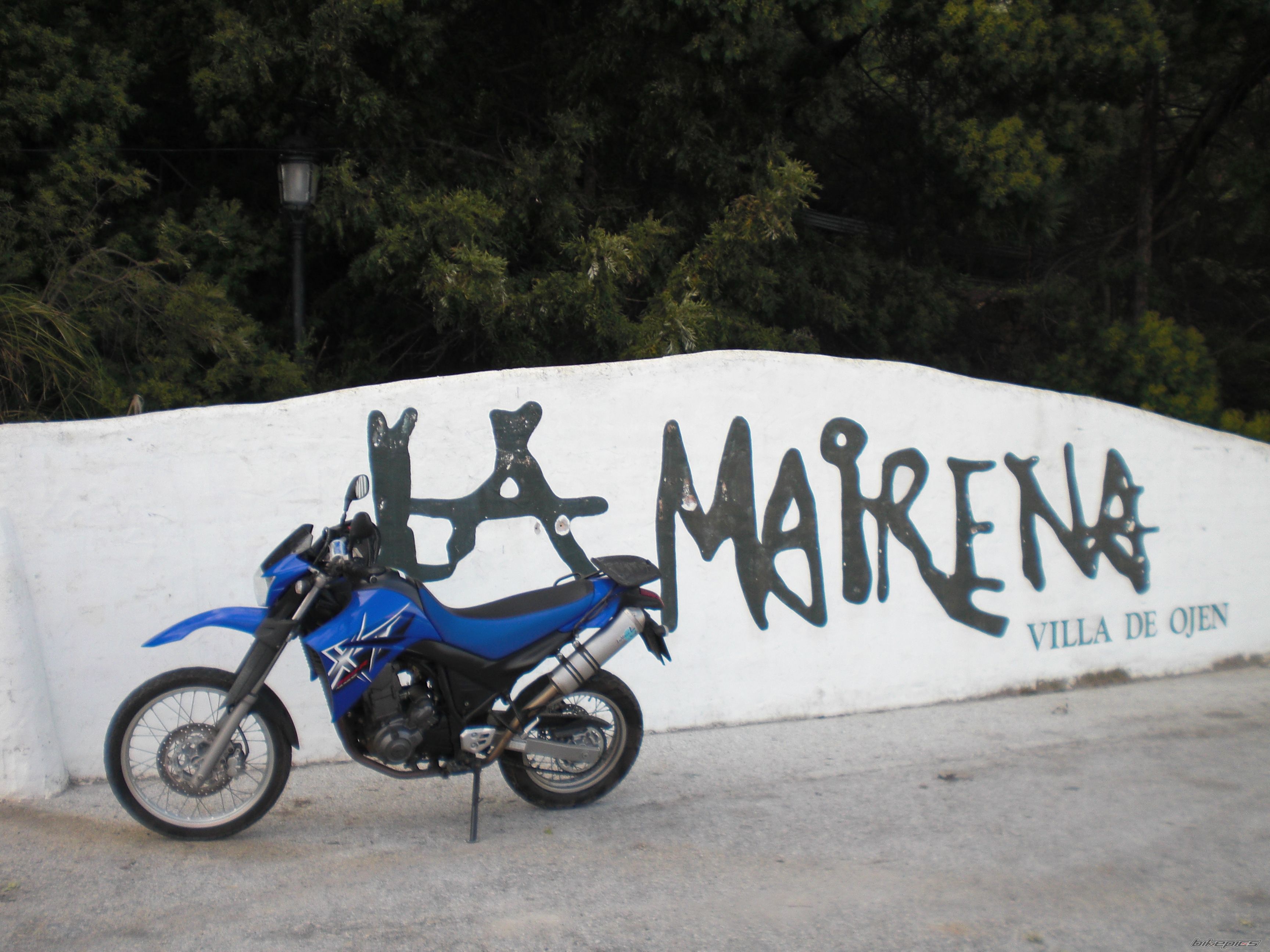 Photo 1611438
