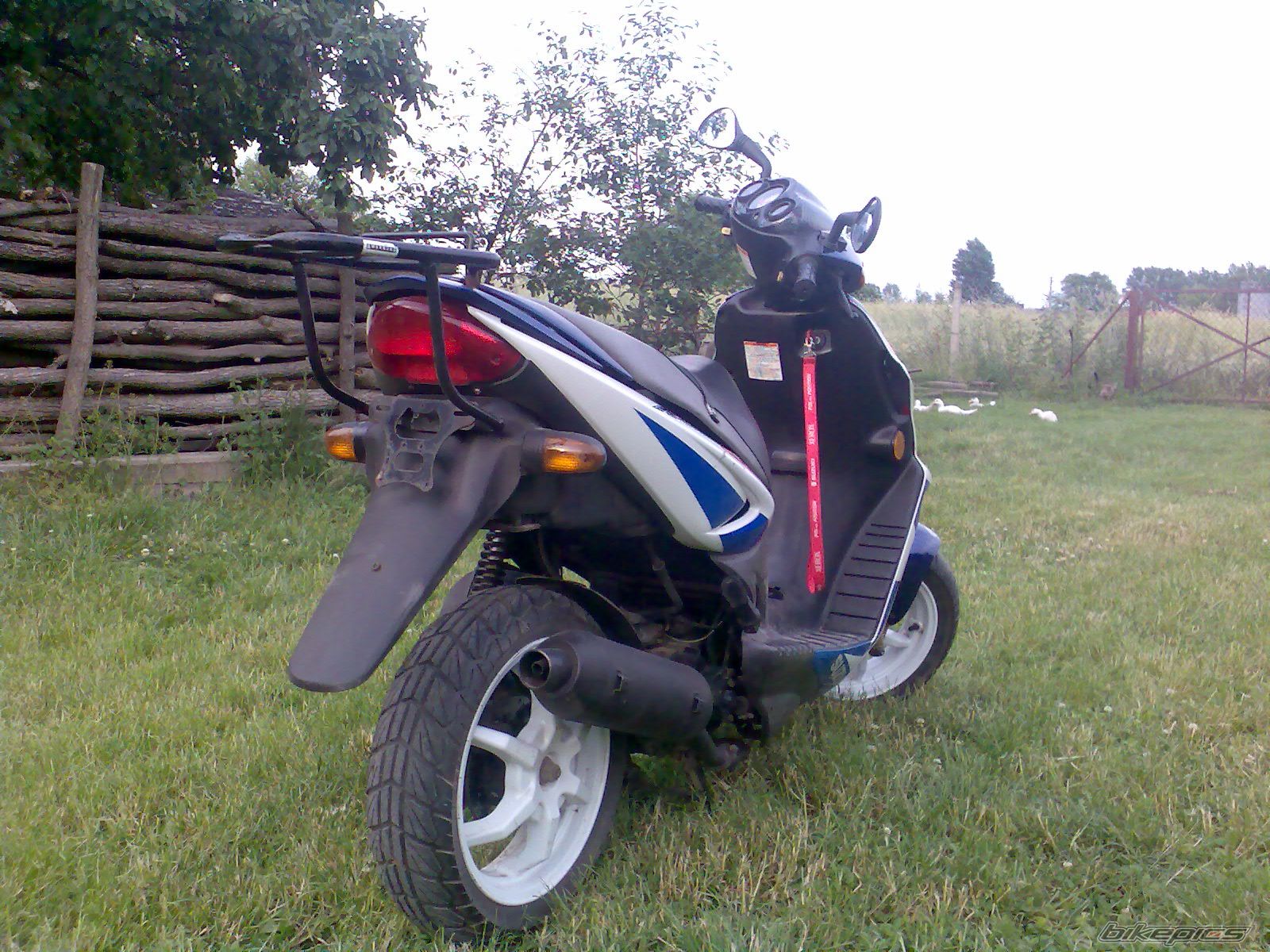 Photo 1611439