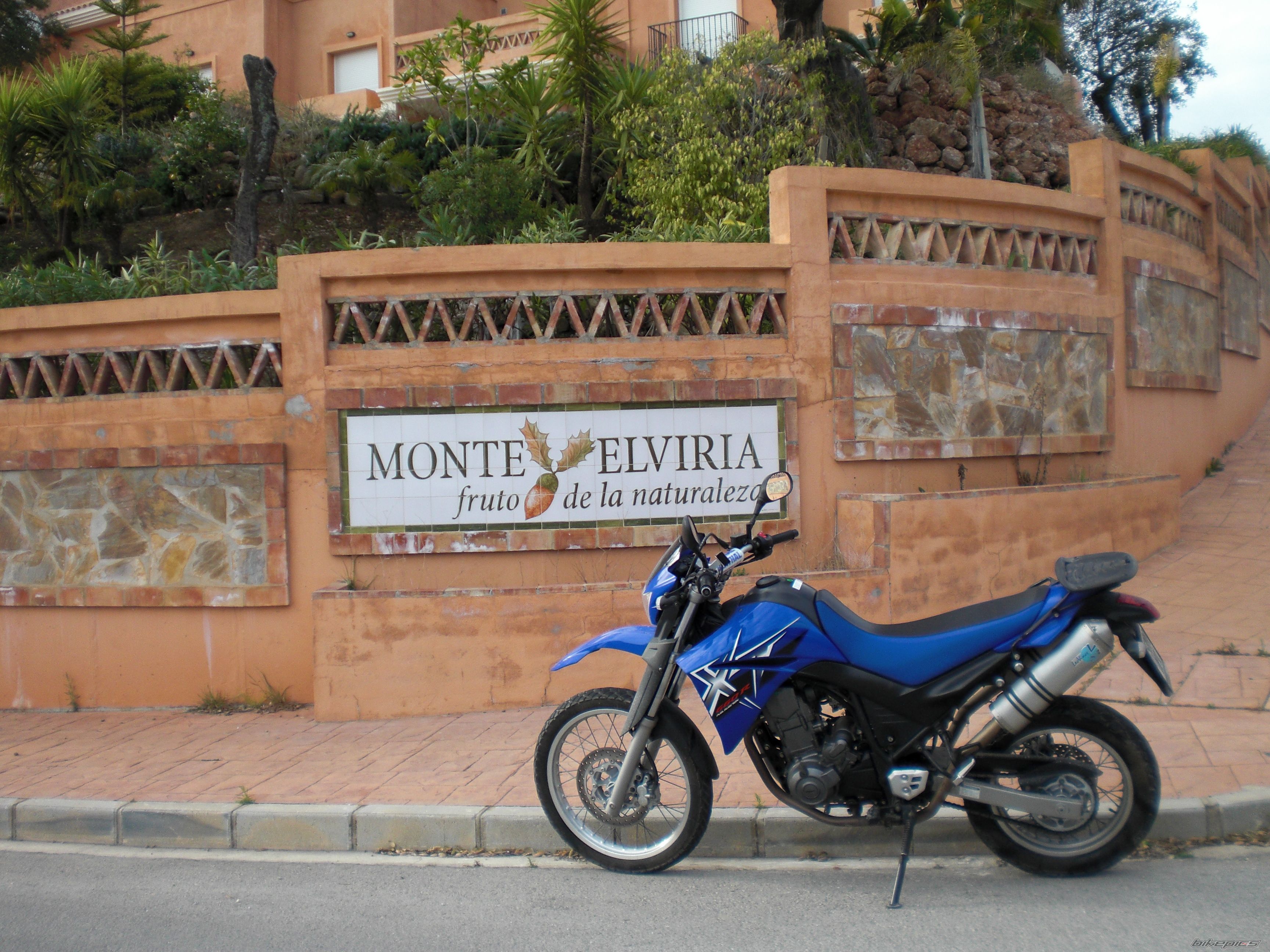 Photo 1611455