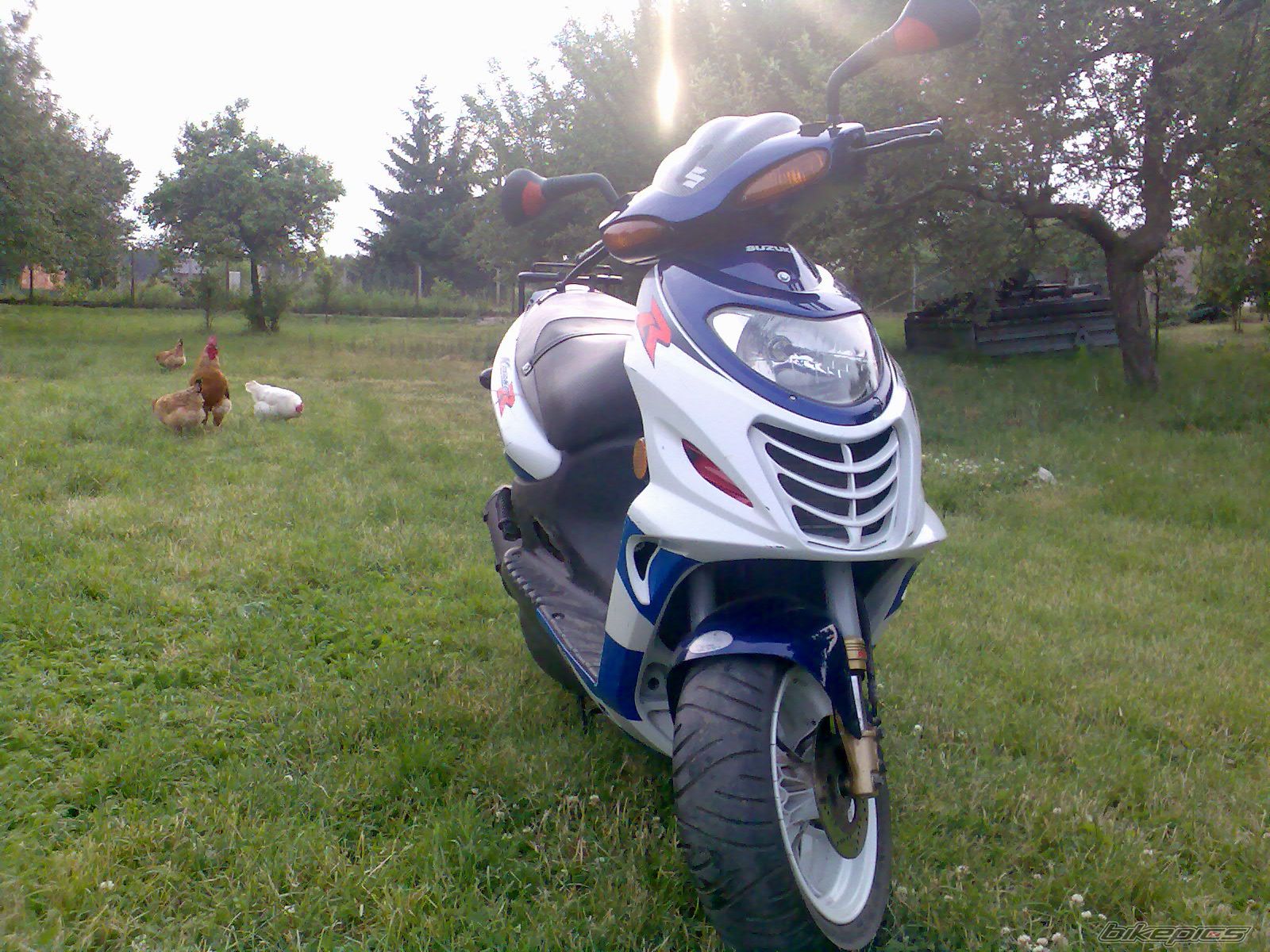 Photo 1611460