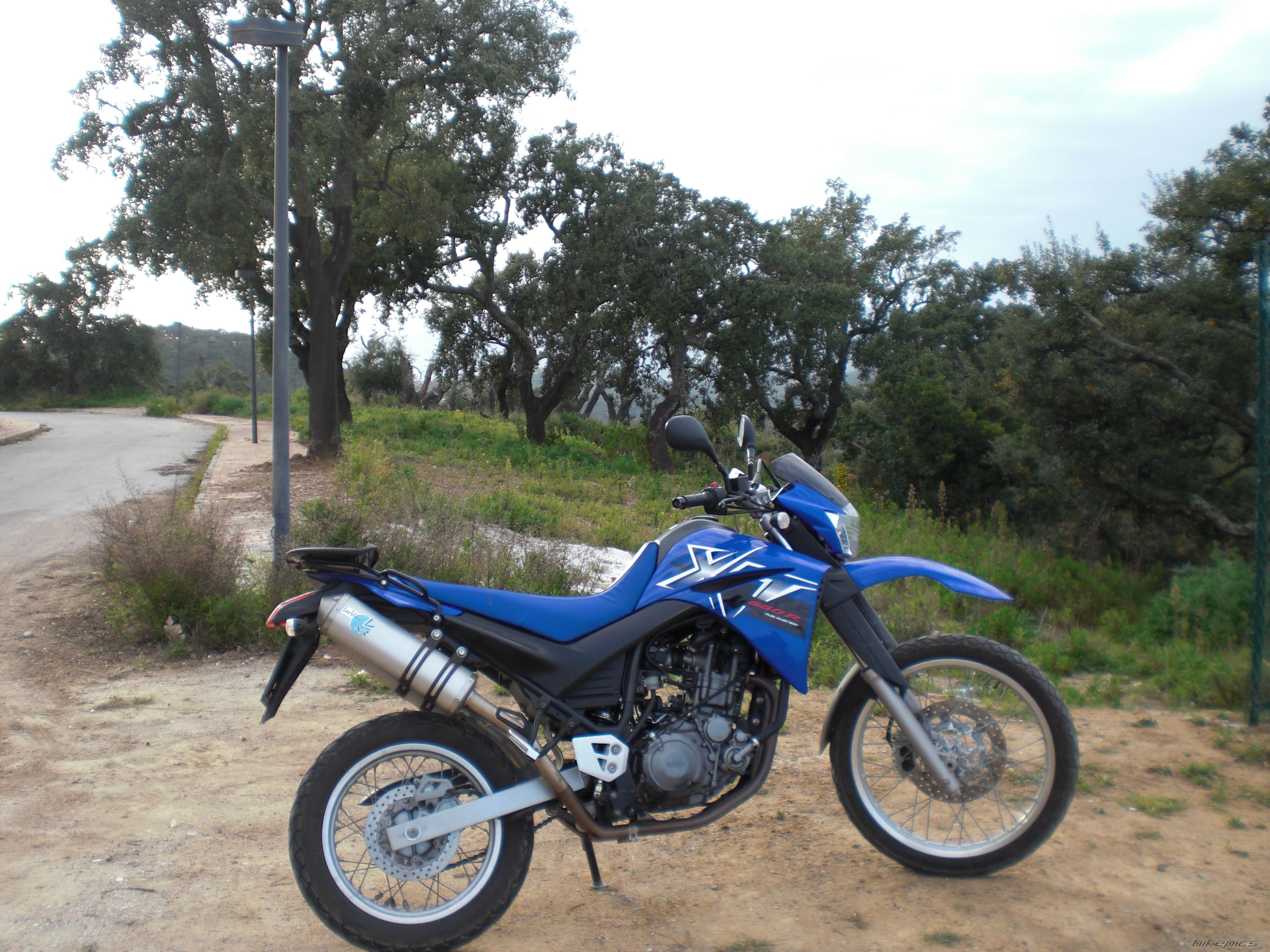 Photo 1611474