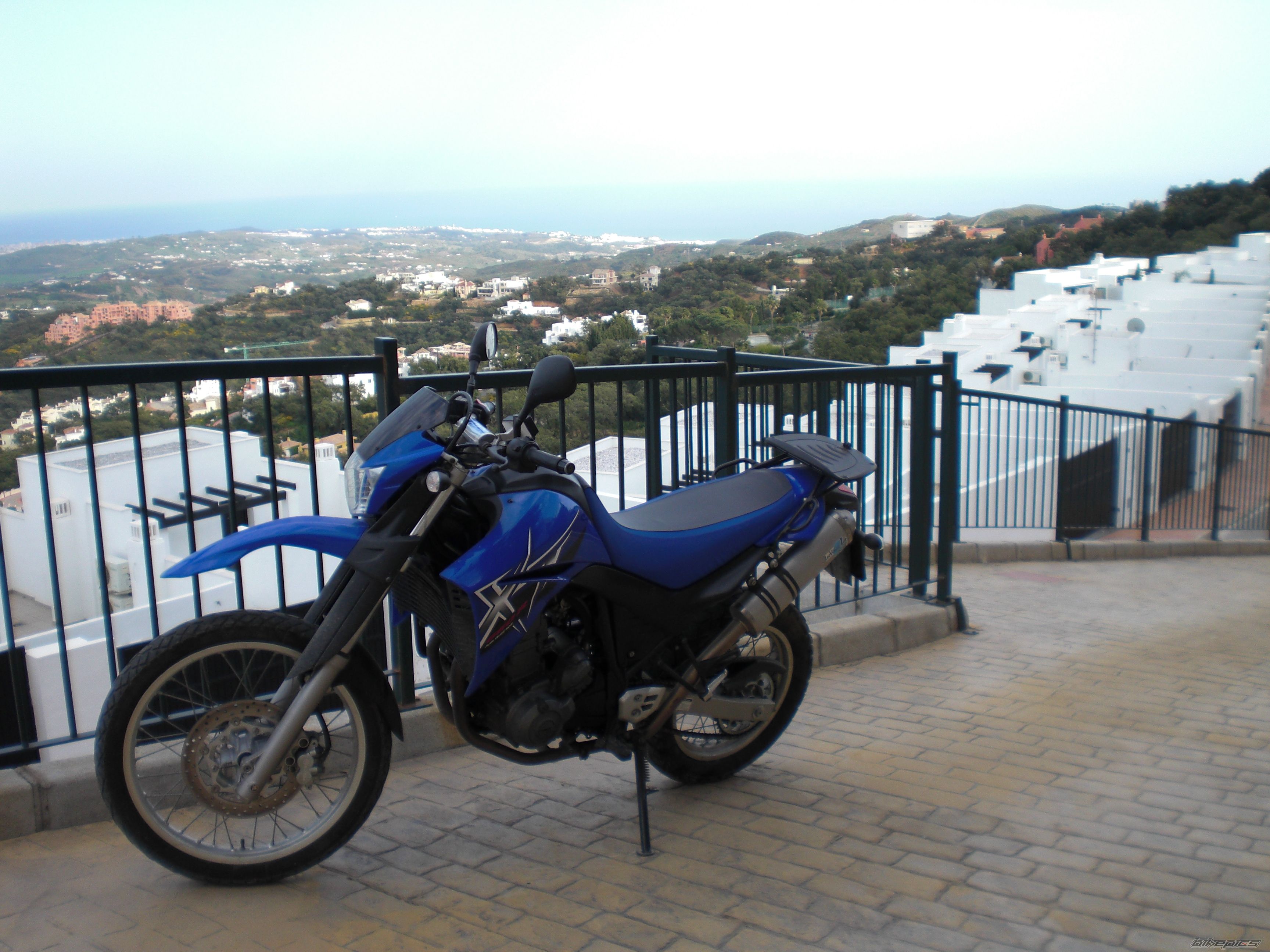 Photo 1611495