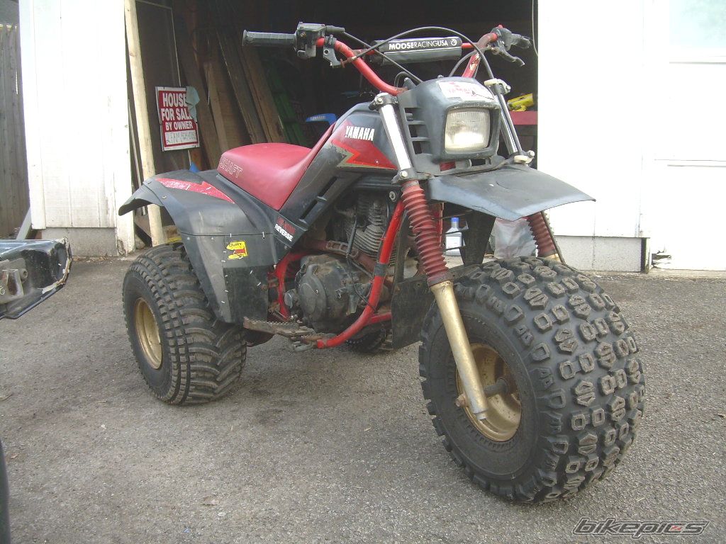Photo 1611547