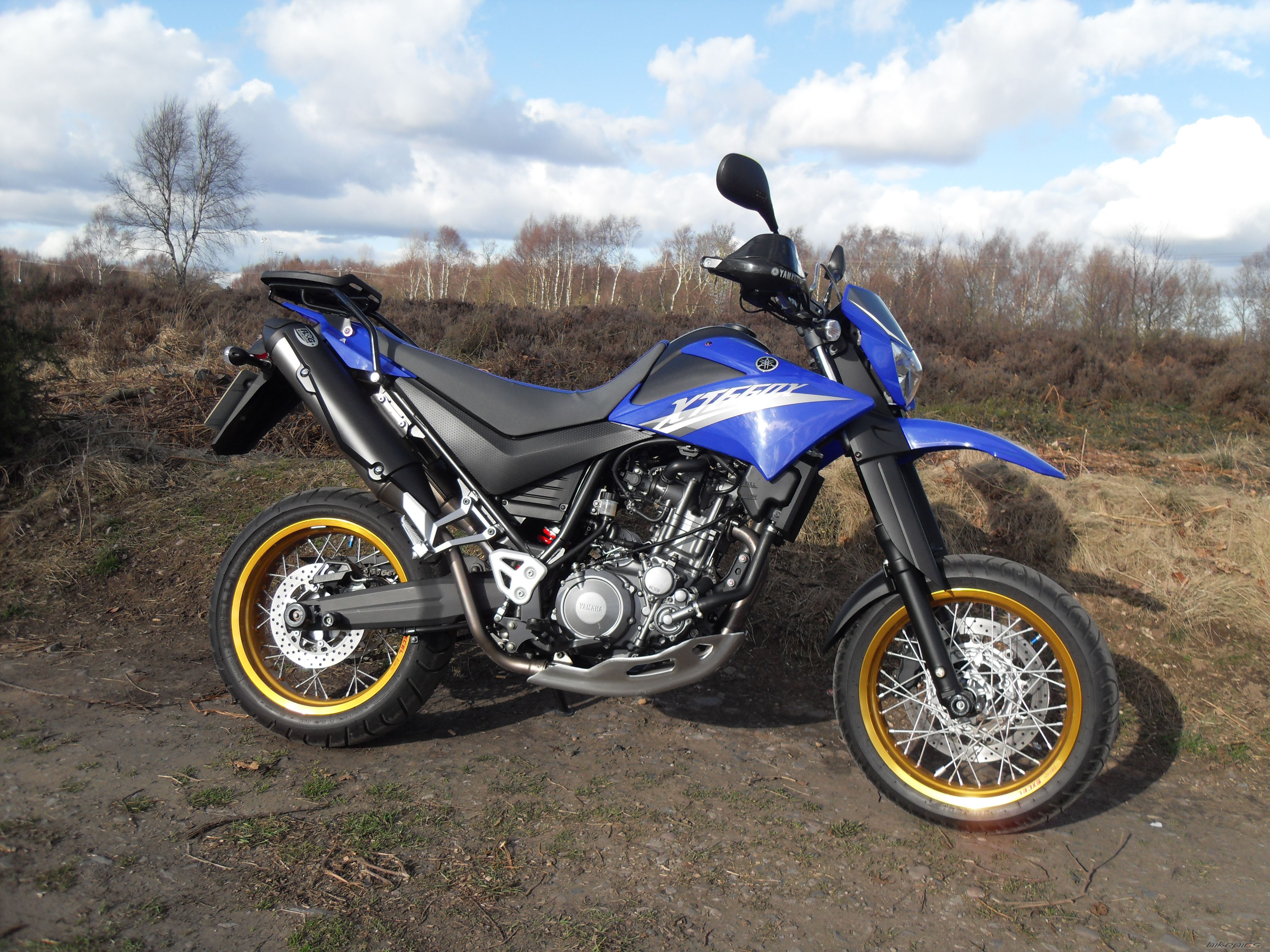 Photo 1611554