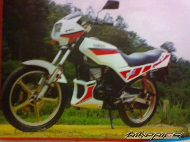 Photo 1611684