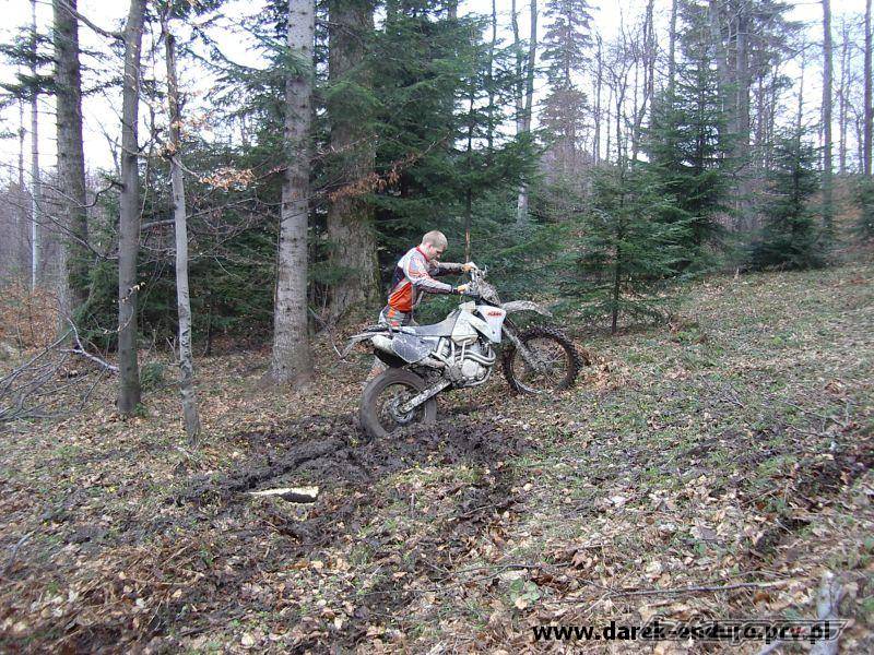 Photo 161172
