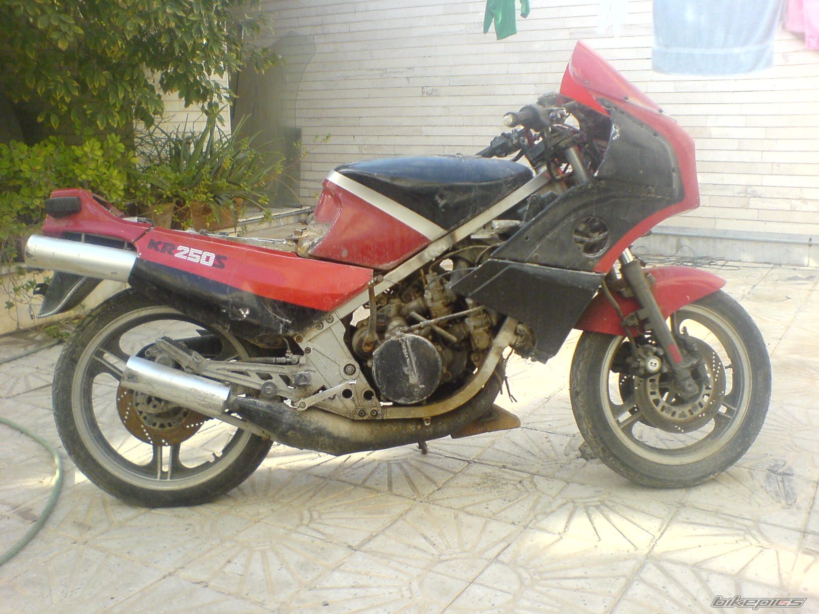 Photo 1611890