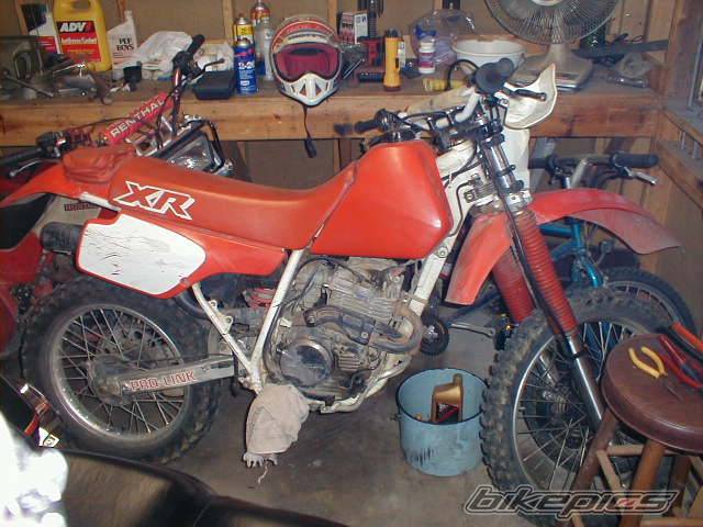 Bike Photo 16119