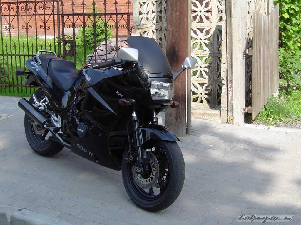 Photo 1612393