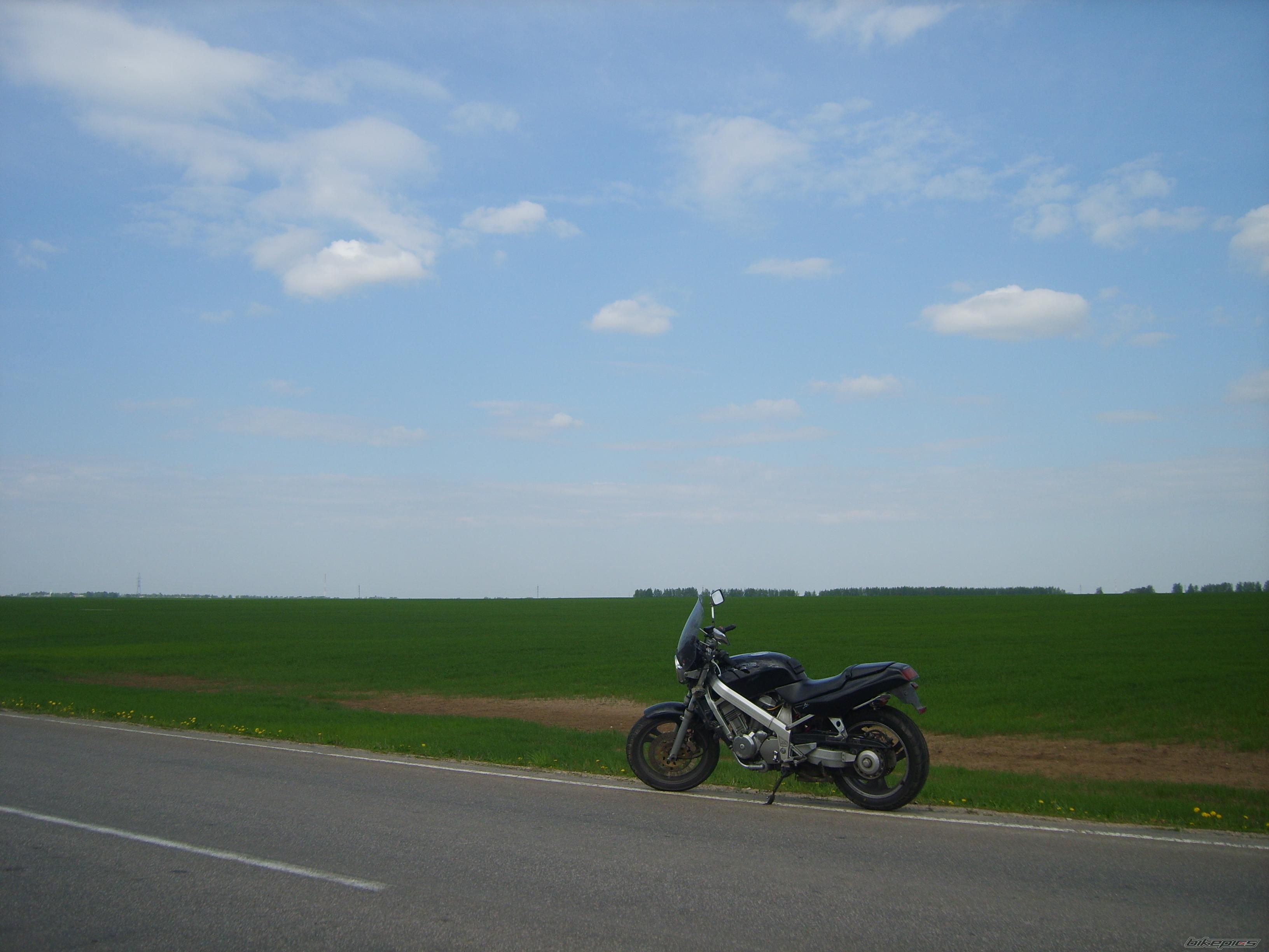 Photo 1612408