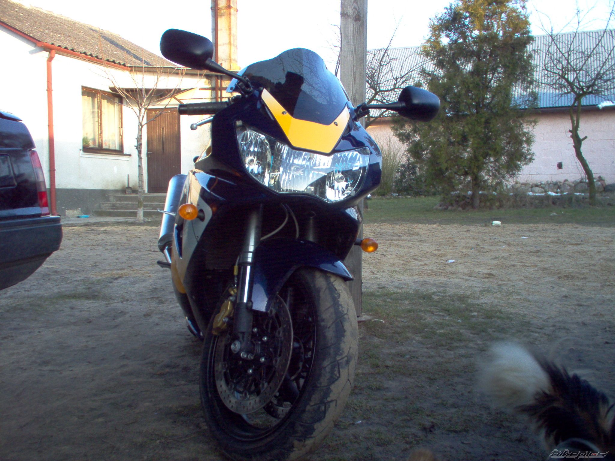 Photo 1612409