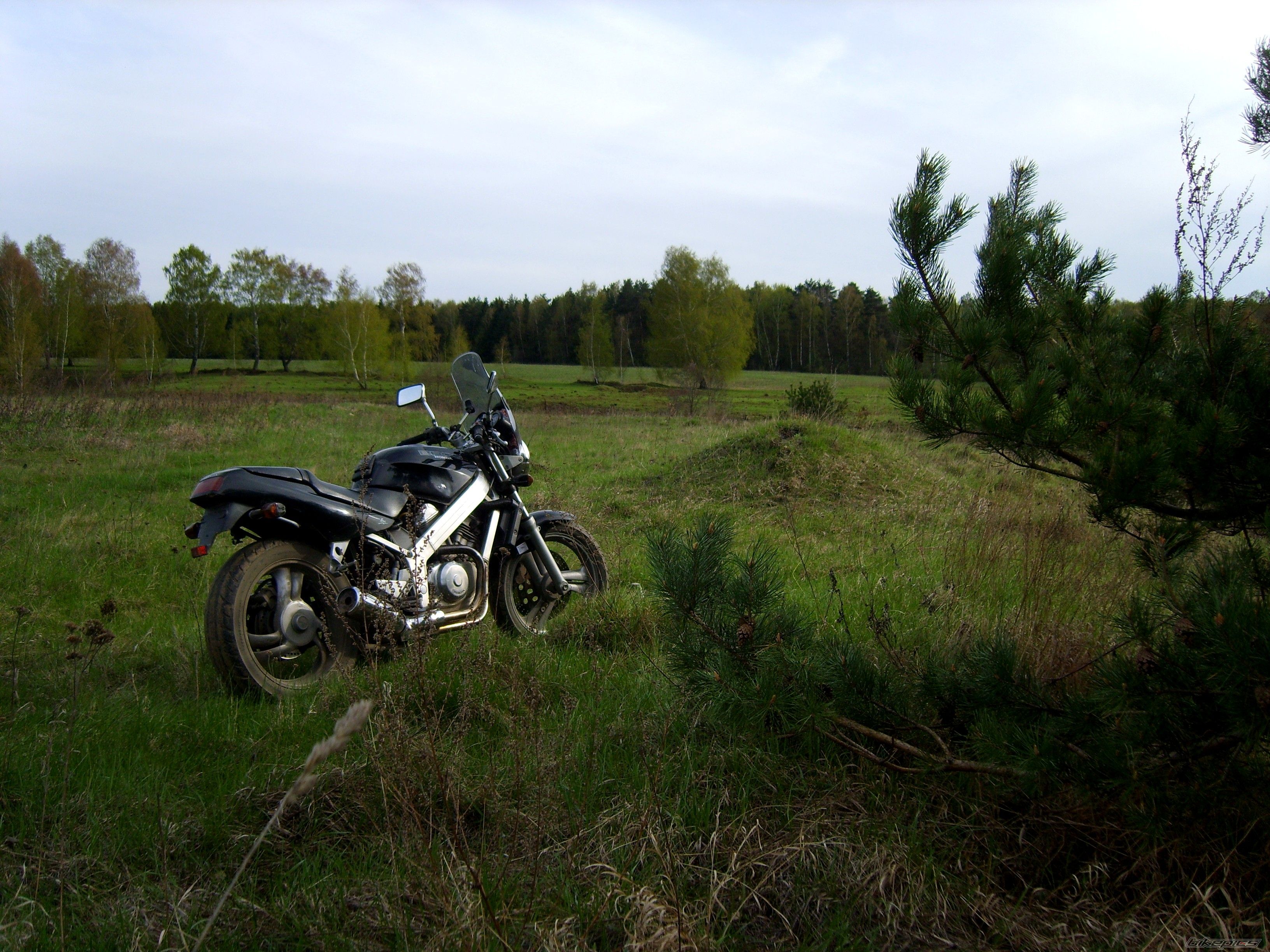 Photo 1612413
