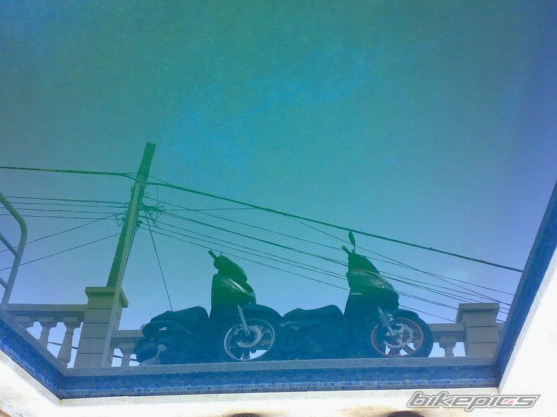 Photo 1612493