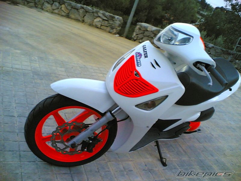 Photo 1612494
