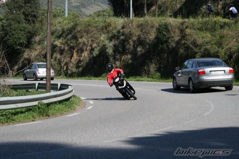 Photo 1612531