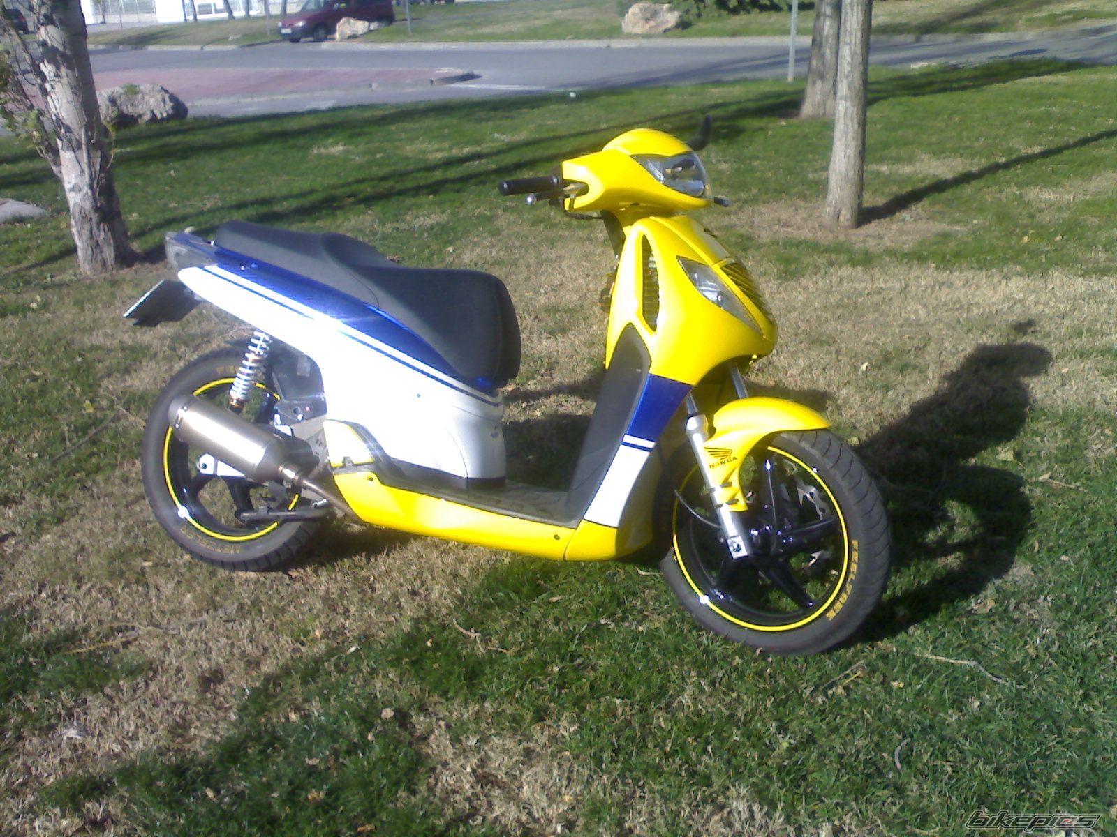 Photo 1612540