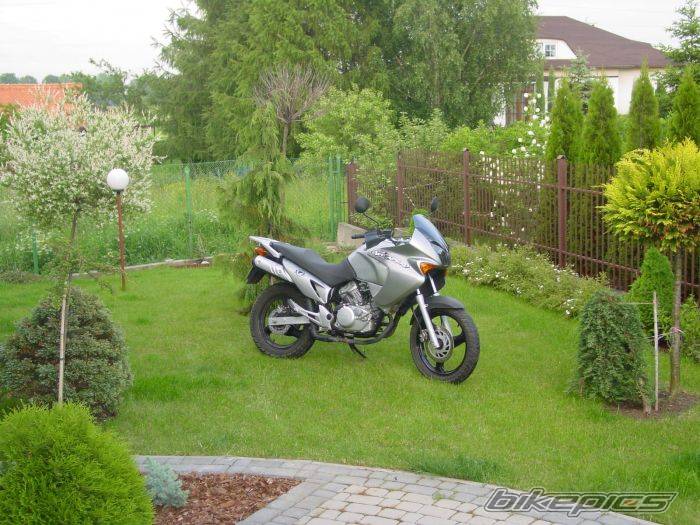 Photo 161258