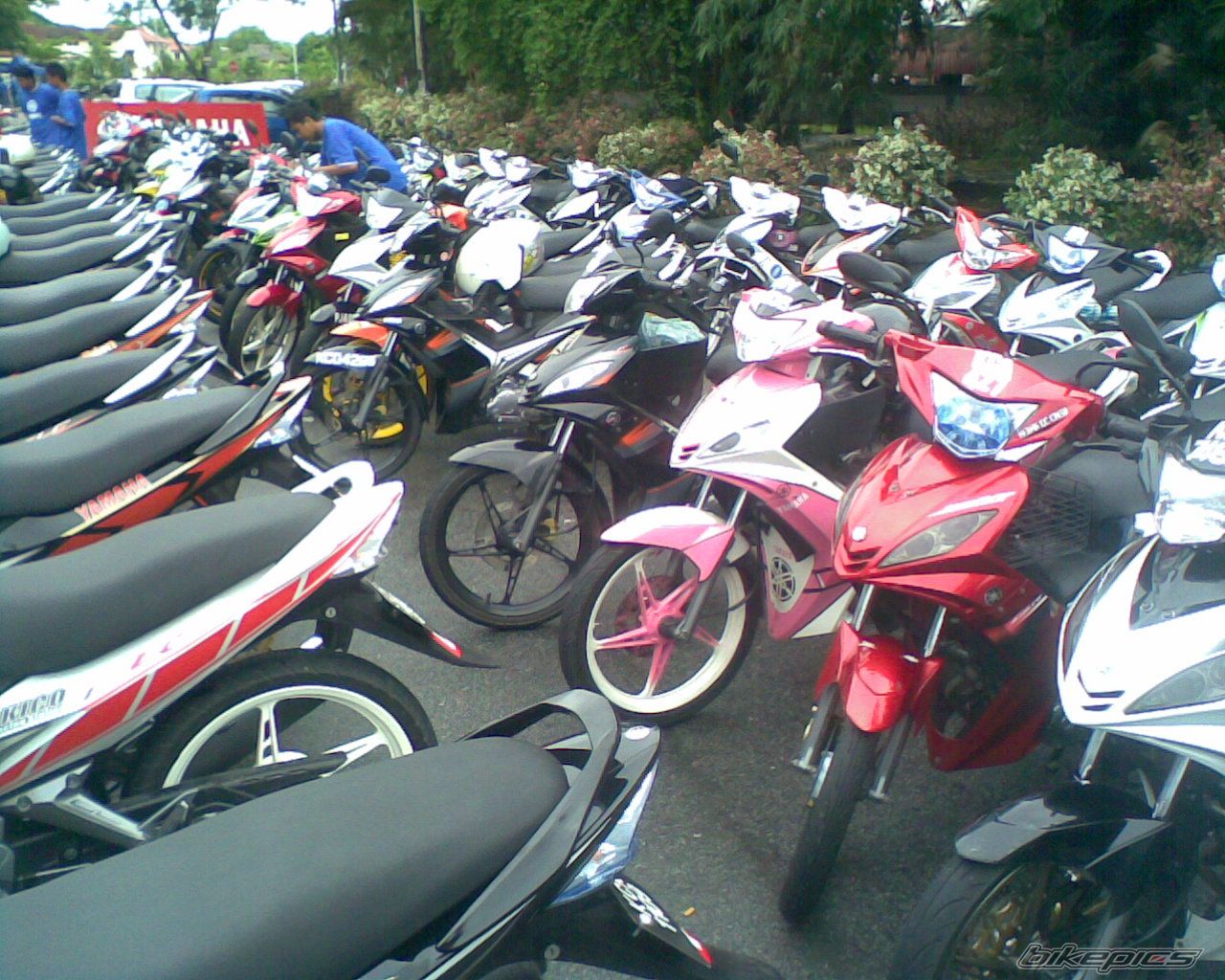 Photo 1612583