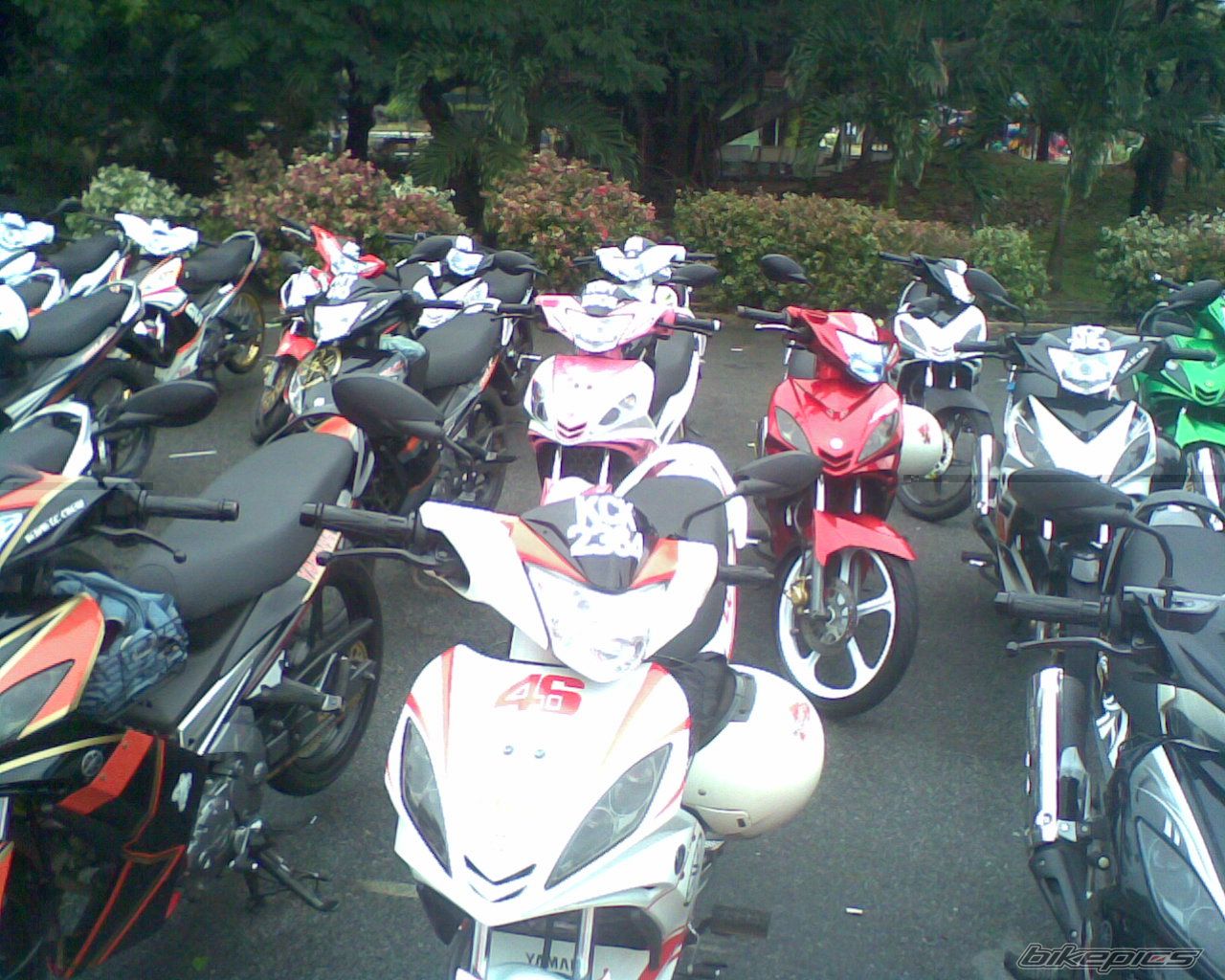 Photo 1612585