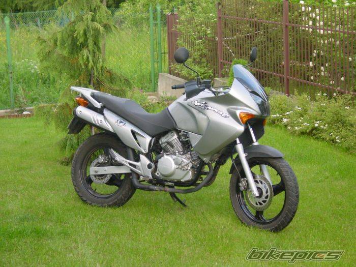 Photo 161259
