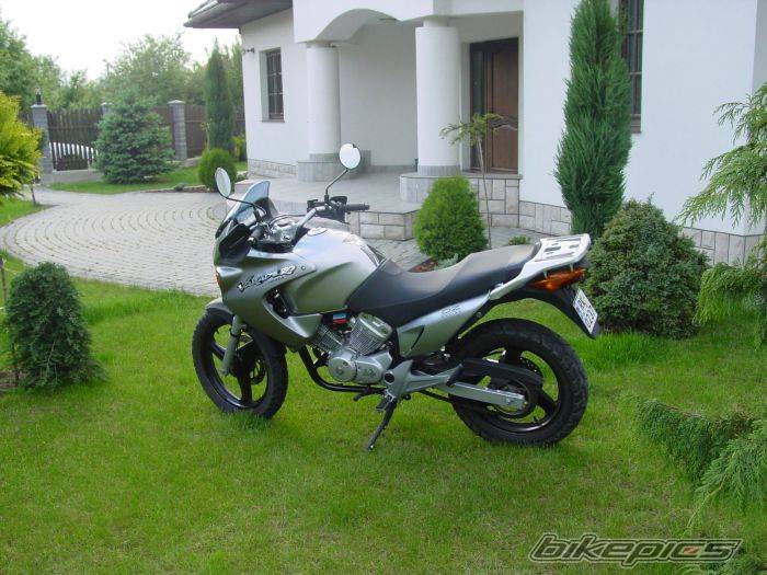 Photo 161260