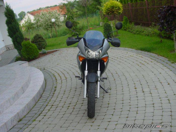 Photo 161261