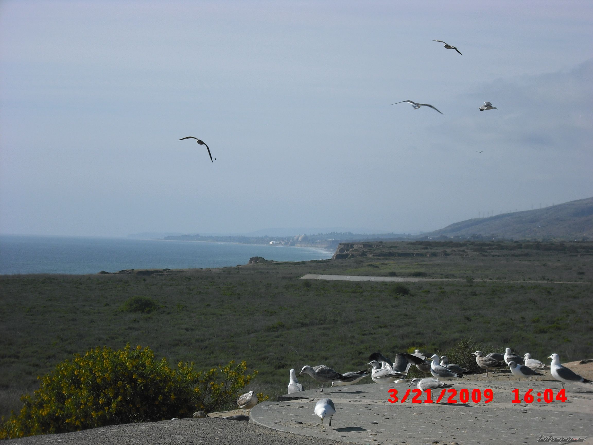 Photo 1612619