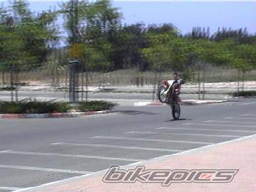 Photo 161264