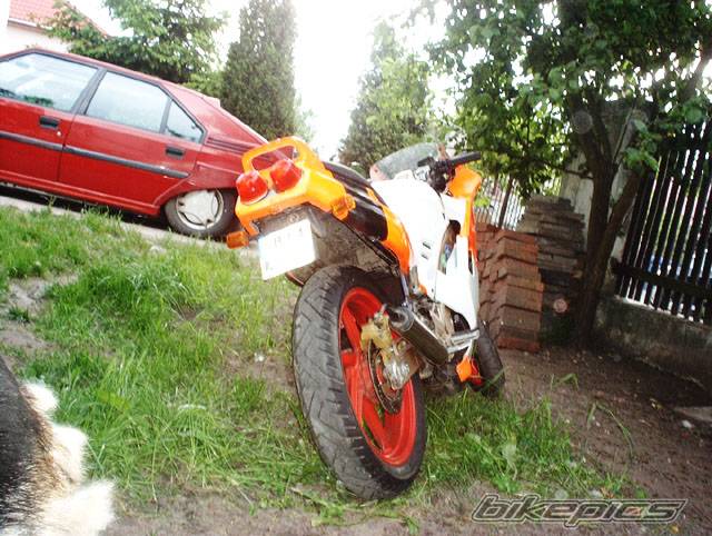 Photo 161267