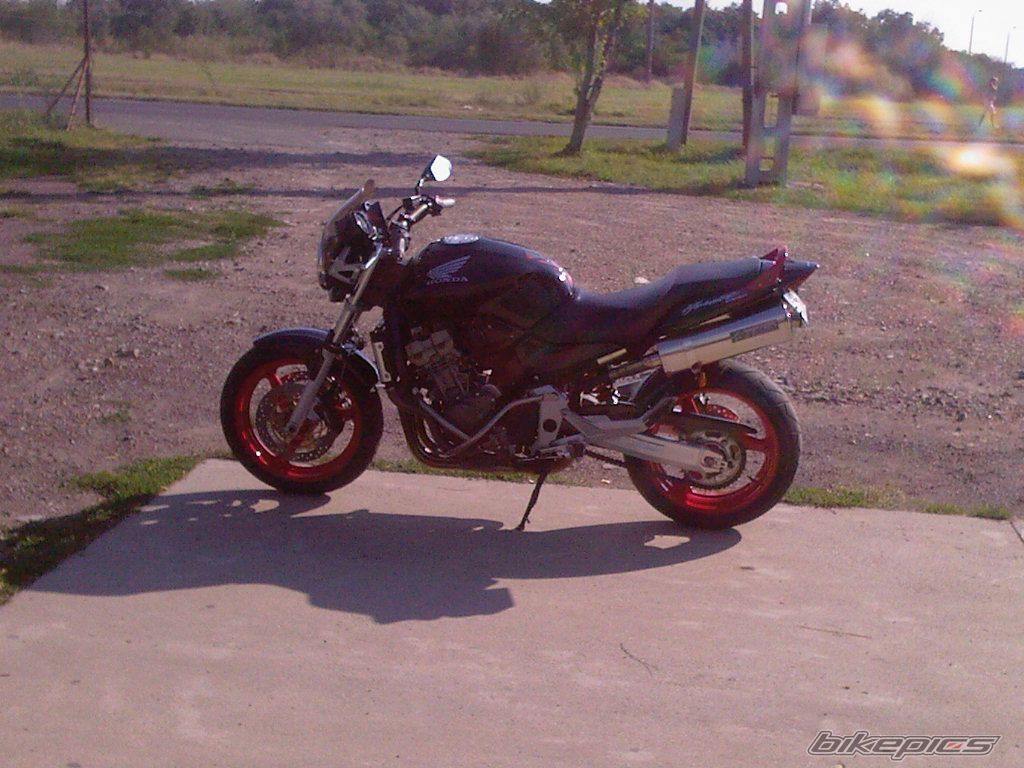 Photo 1612673