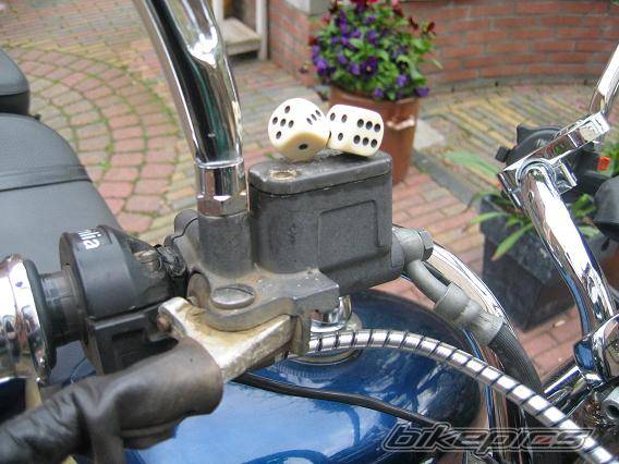 Photo 161275