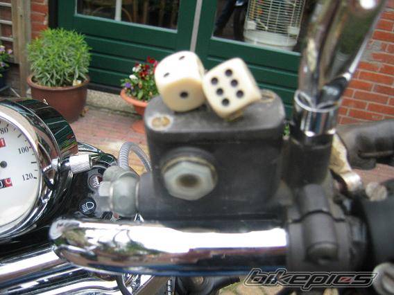 Photo 161276