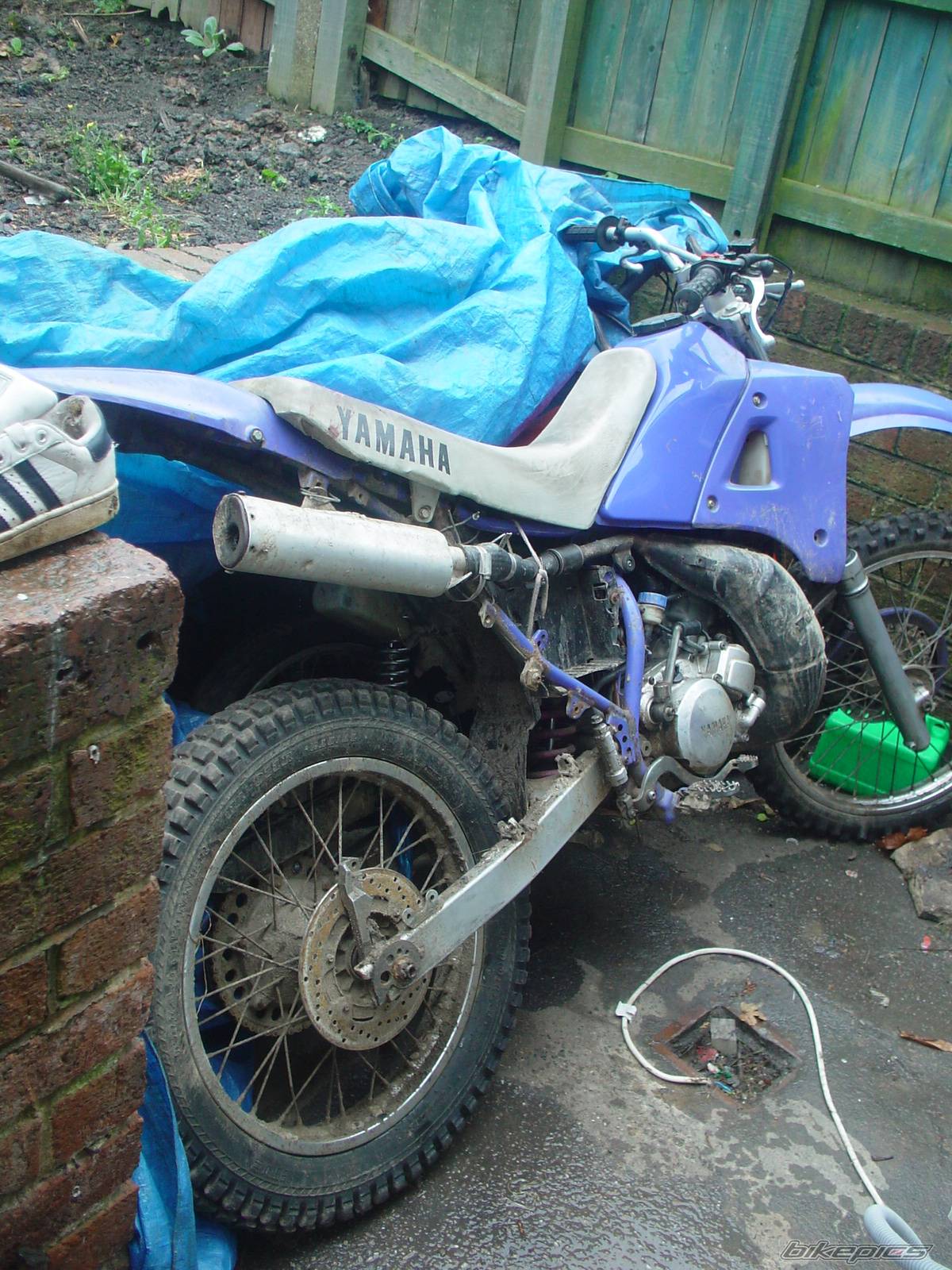 Photo 161279