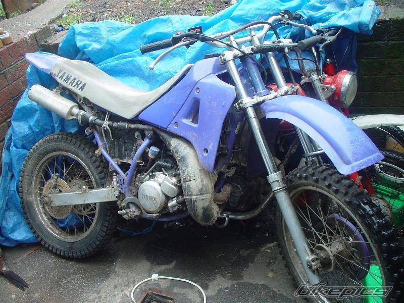 Photo 161281