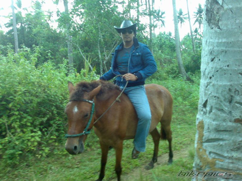 Photo 1612841