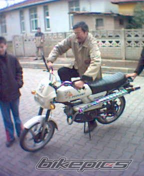 Panter
