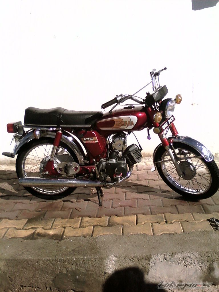 Photo 1613153