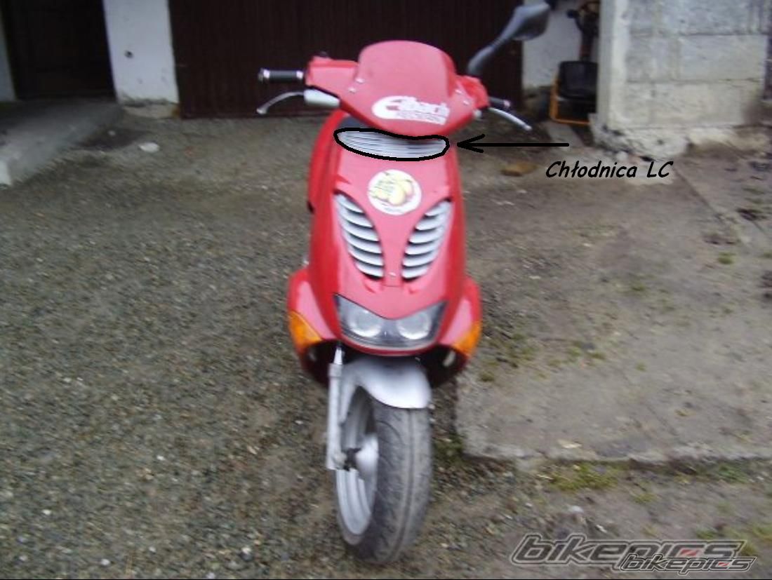 Photo 1613232