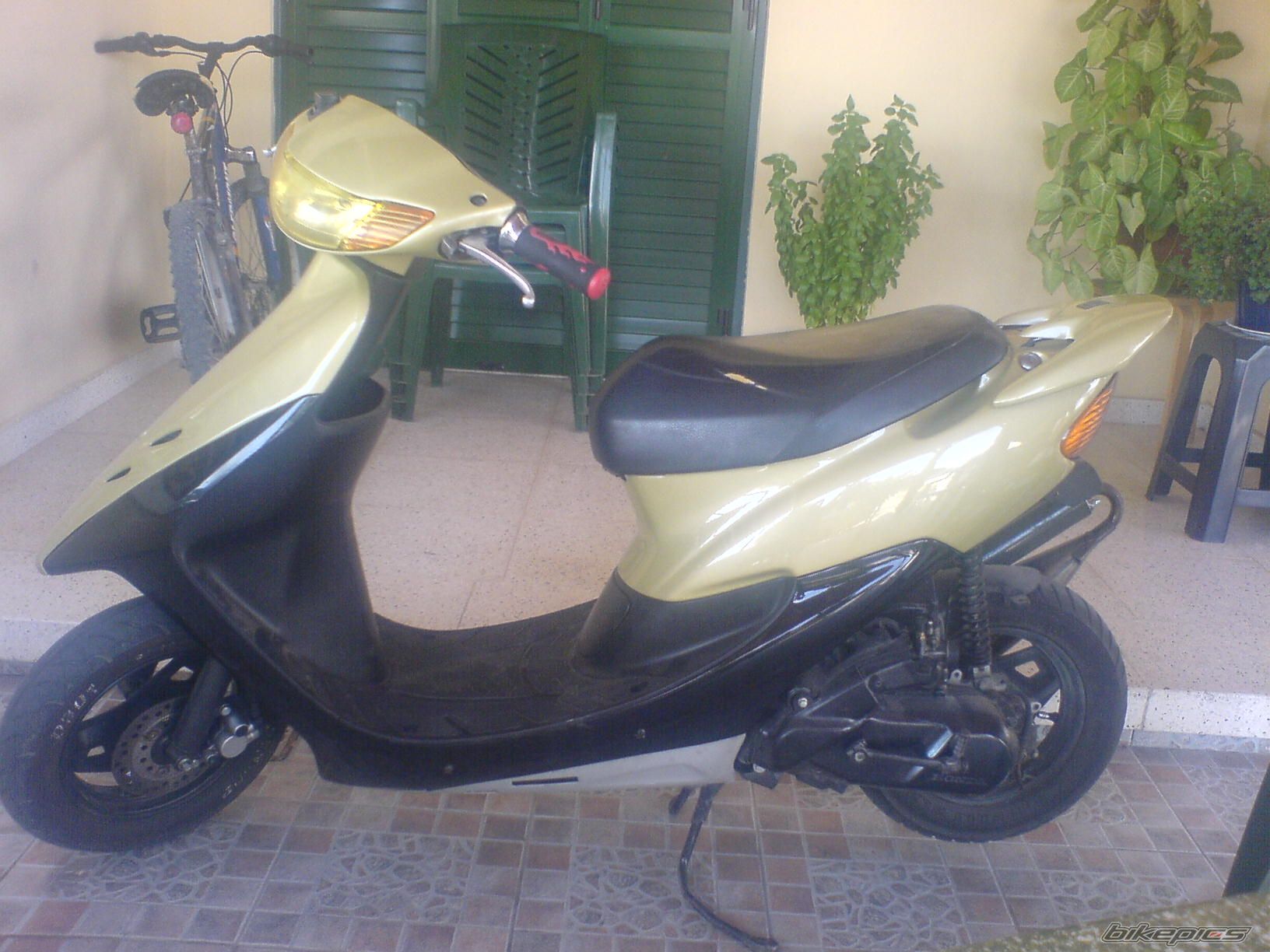 Photo 1613233
